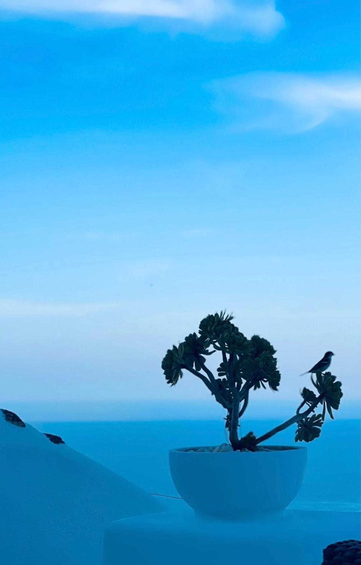 Villa Kastelli88 Santorini Pyrgos Bagian luar foto